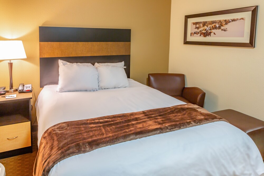 My Place Hotel Minot ND - photo 14