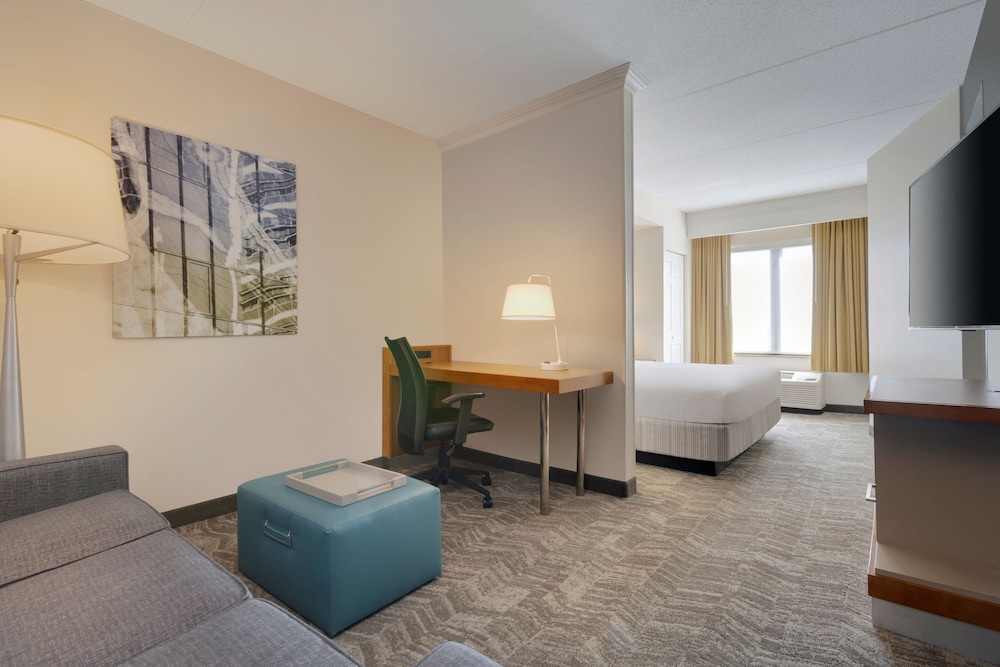 SpringHill Suites by Marriott Newark Liberty International - photo 6