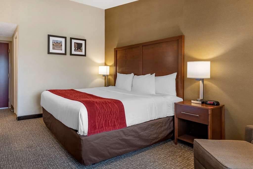 Comfort Inn Glenmont Albany South - photo 14