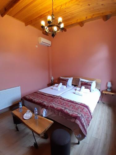 Château Fort de Manavi Boutique Hotel