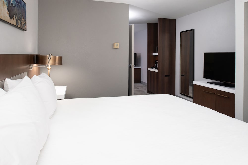 Hilton Garden Inn Baton Rouge Airport - photo 20