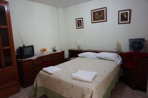 Hostal Camiluz — Nazca — photo 2