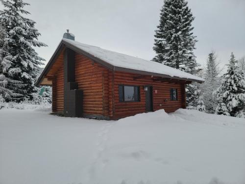Cooper Spur Mountain Resort - photo 55