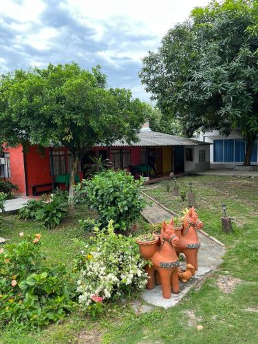 Hotel Cabañas Santa Rosa Suarez Tolima pet-friendly hotel Suarez