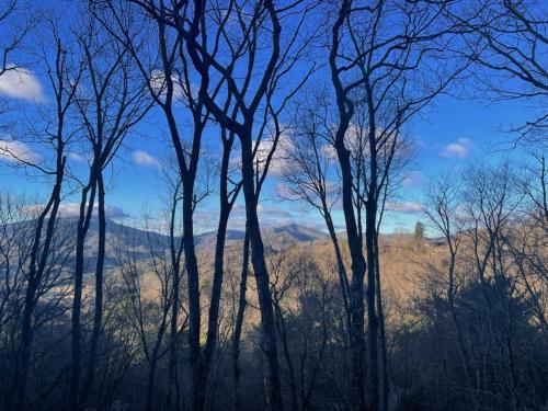 4 Pines — Boone — photo 2