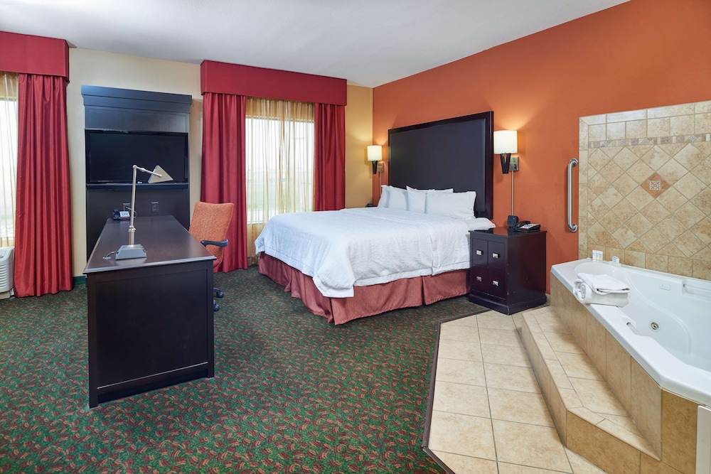 Hampton Inn & Suites Waco South - photo 22