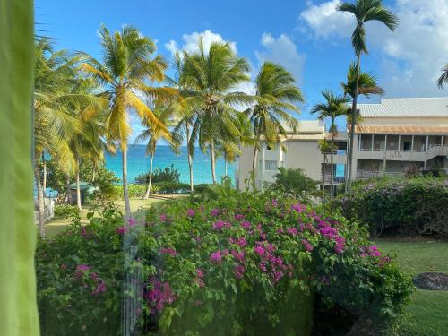 La pépite de Gosier — 4-Star Luxury Hotel in Le Gosier, Guadeloupe