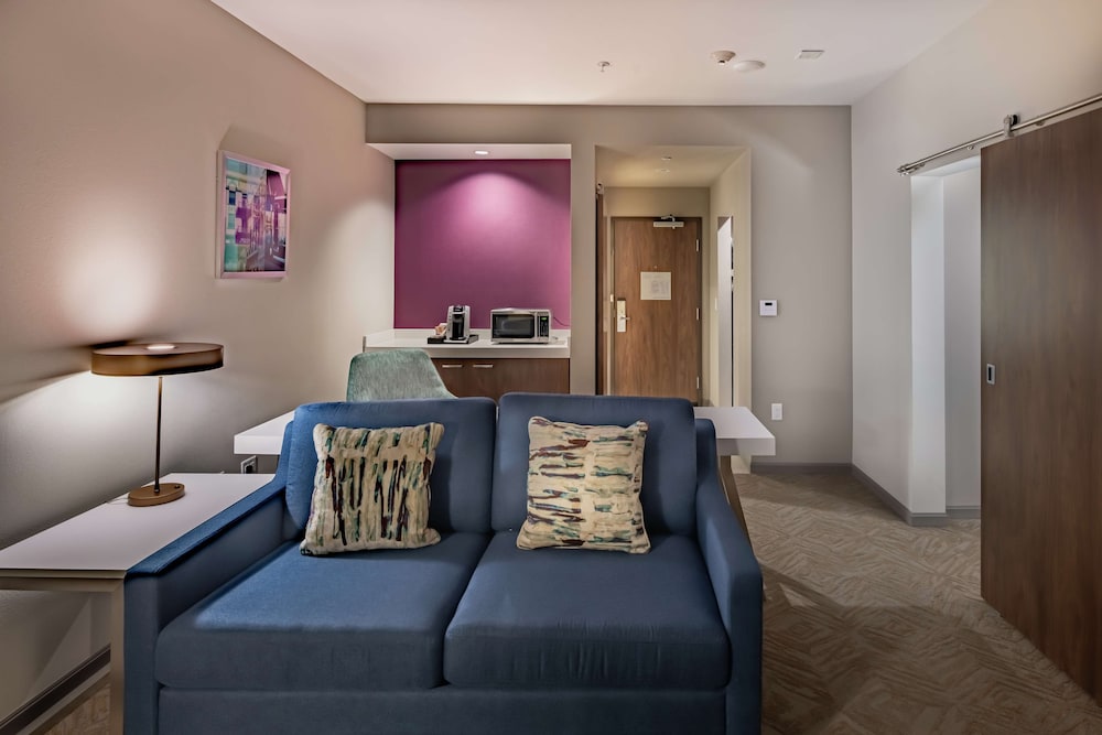 Hilton Garden Inn Dallas at Hurst Conference Center - photo 27