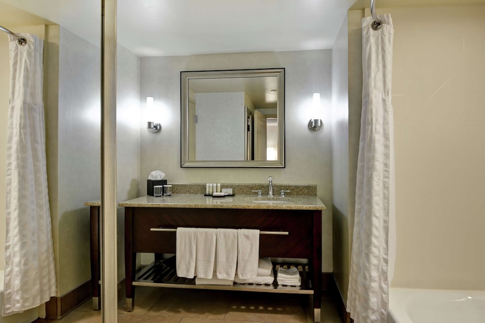 Embassy Suites by Hilton Savannah Airport - photo 30