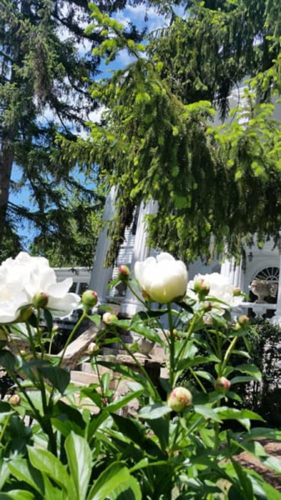 Albemarle Inn - photo 130