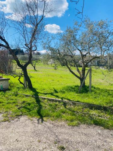 Casa vacanze MaMe — Ferrazzano — photo 3