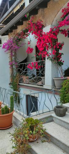 Villa Alberto — 4-Star Luxury Hotel in Olbia, Italy