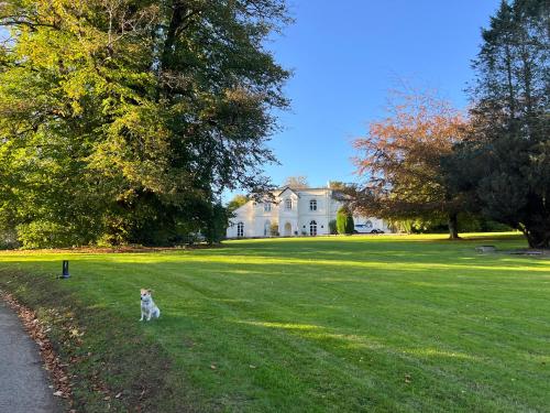Moorswater Lodge Country House with Wine Bar — 4-Star Luxury Hotel in Liskeard, United Kingdom