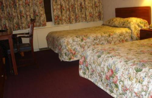 Red Carpet Inn & Suites Albany - photo 11