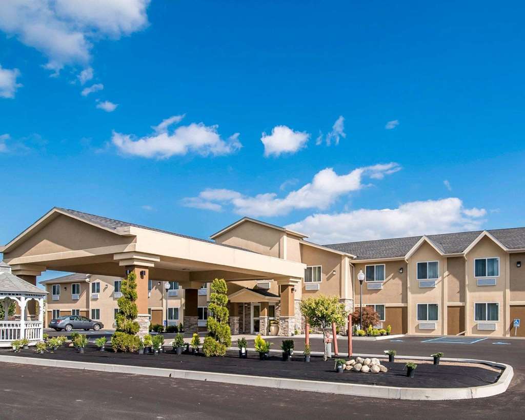 Comfort Inn Saugerties - featured photo