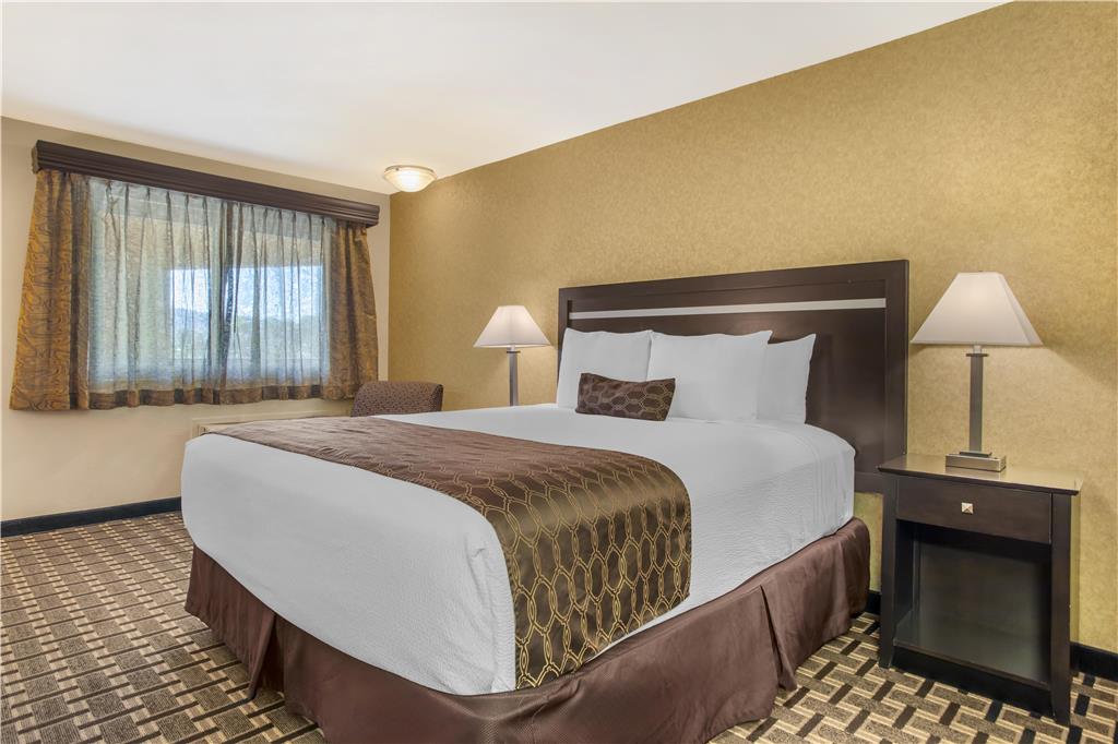 Best Western Plus Pleasanton Inn - photo 20