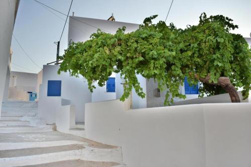 Anatoli Rooms in Amorgos, Greece