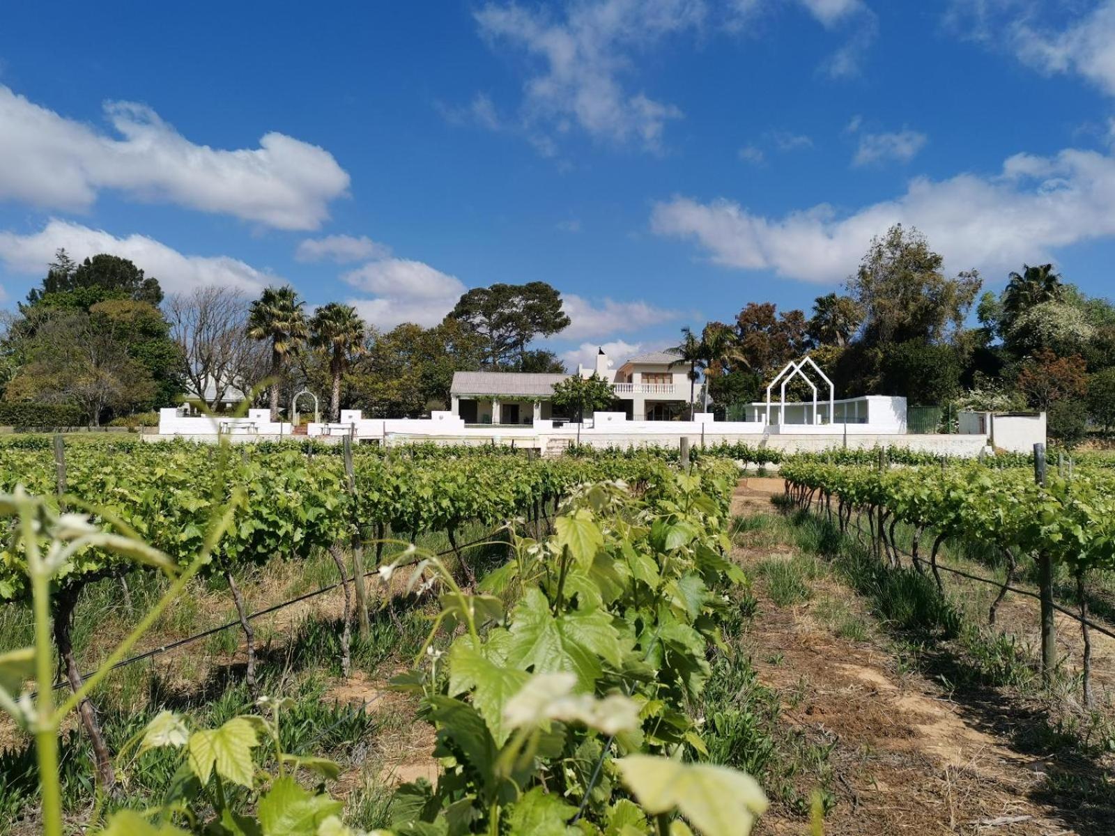 Duvon Farmhouse — 4-Star Luxury Hotel in Robertson, South Africa