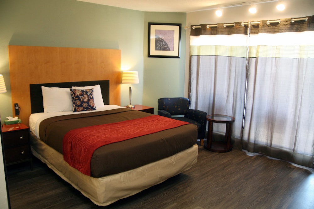 South T Motel - photo 27