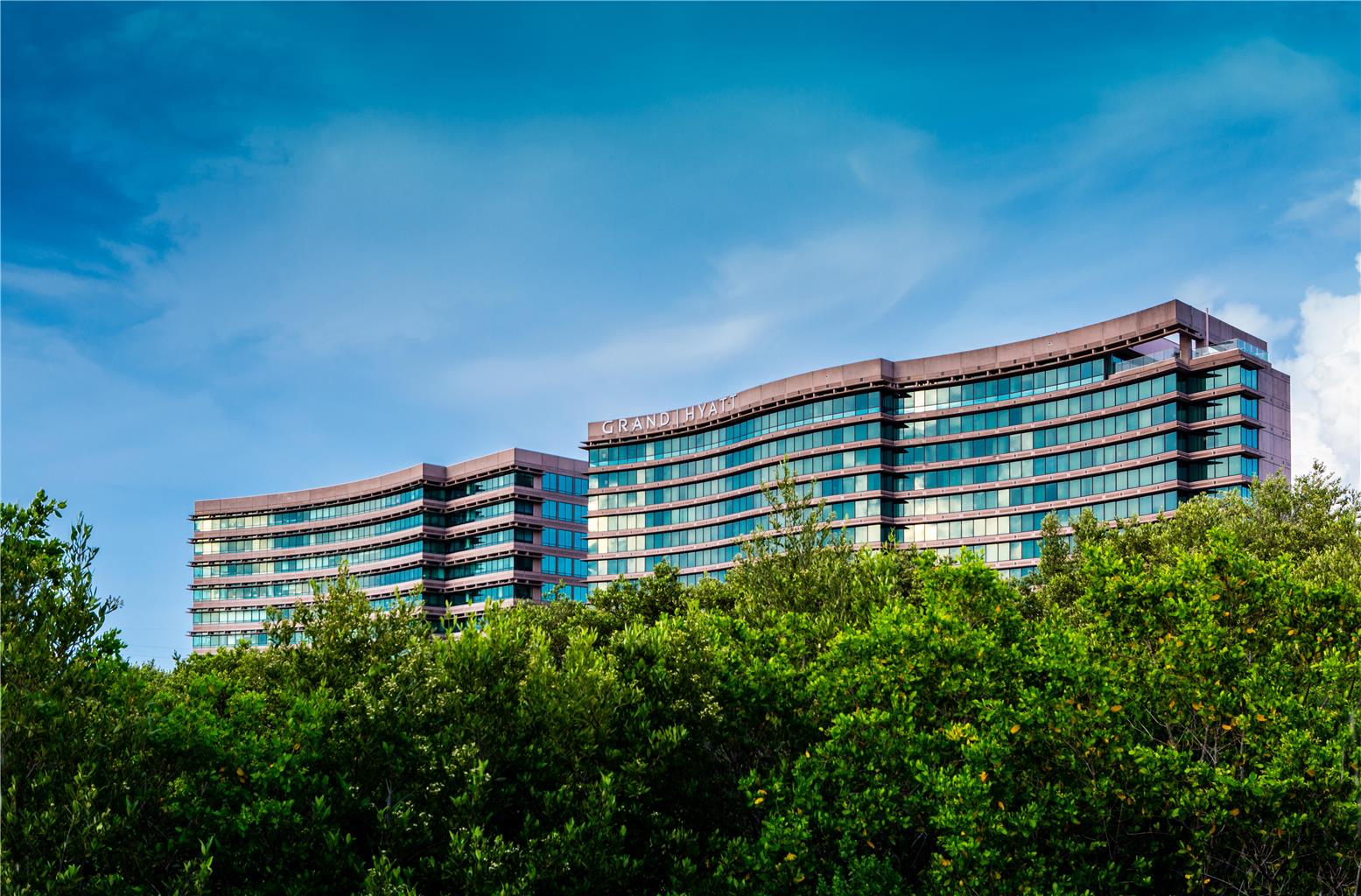 Grand Hyatt Tampa Bay - photo 10