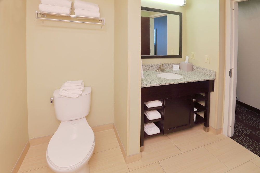 Holiday Inn Express & Suites Pittsburgh West Greentree by IHG - photo 41