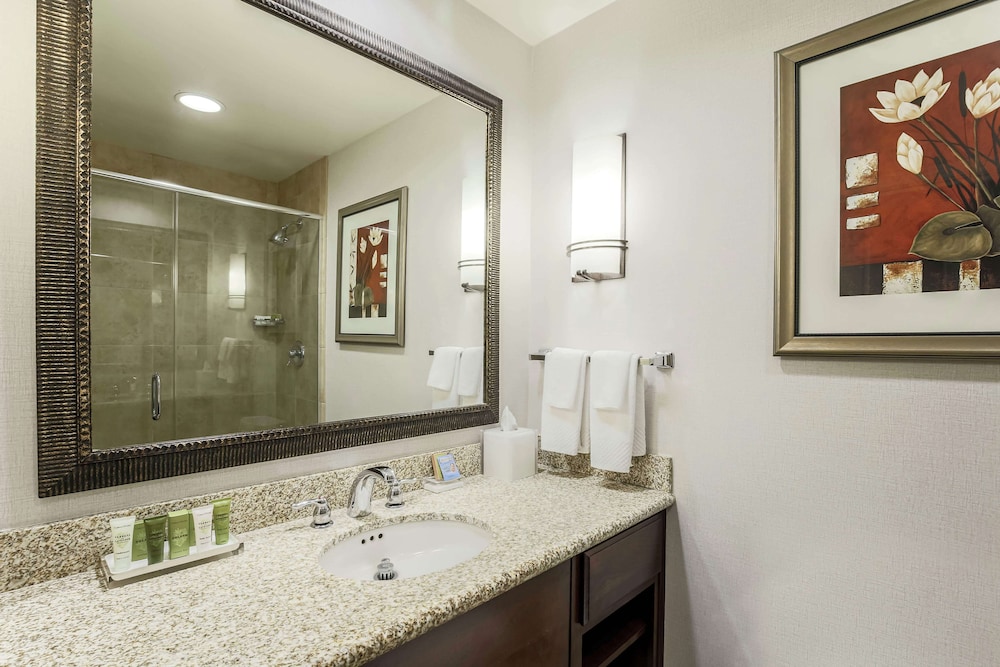 Hilton Phoenix Chandler - photo 25