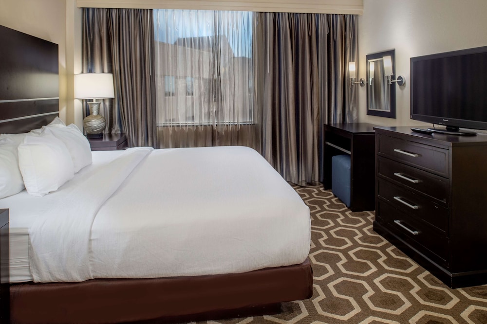 Embassy Suites by Hilton St. Louis Airport - photo 15