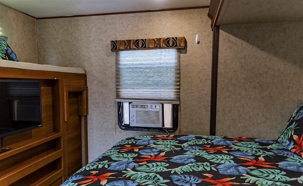 Blue Dolphin Inn and Cottages - photo 5