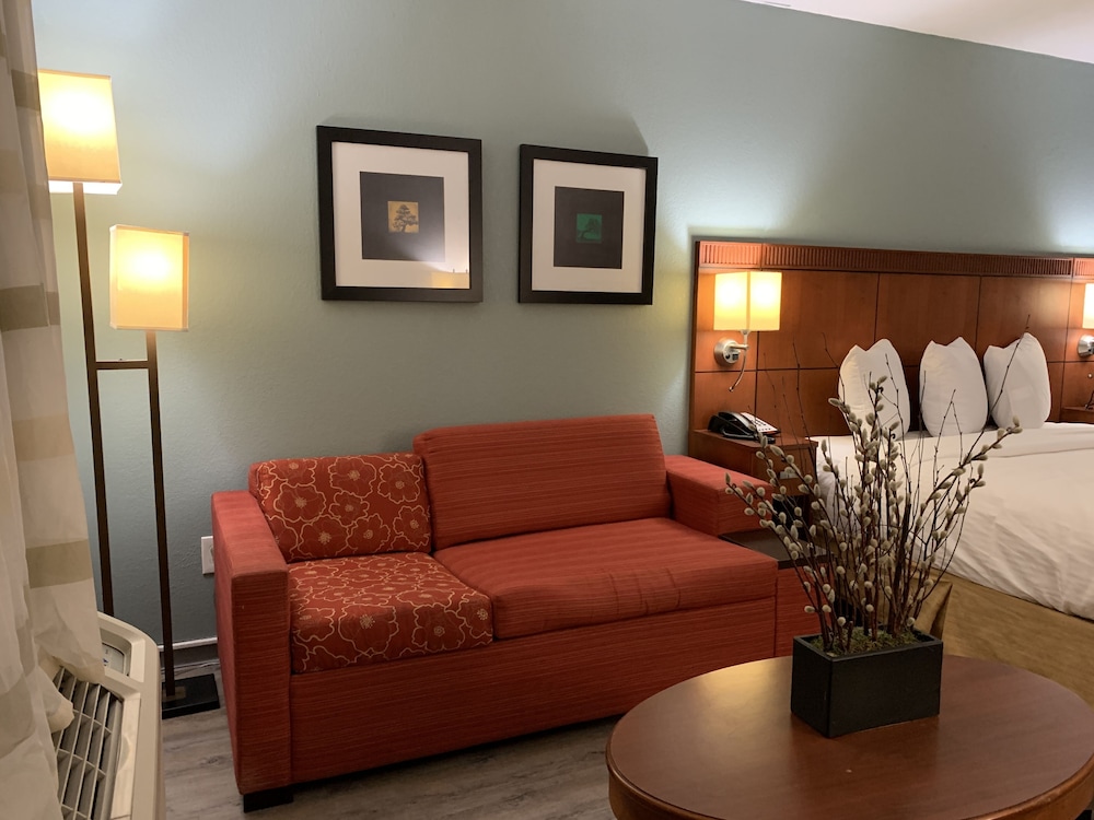 The Hotel Orange - photo 7