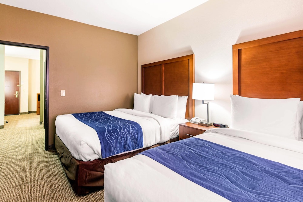 Comfort Inn & Suites IAH Bush Airport East - photo 16