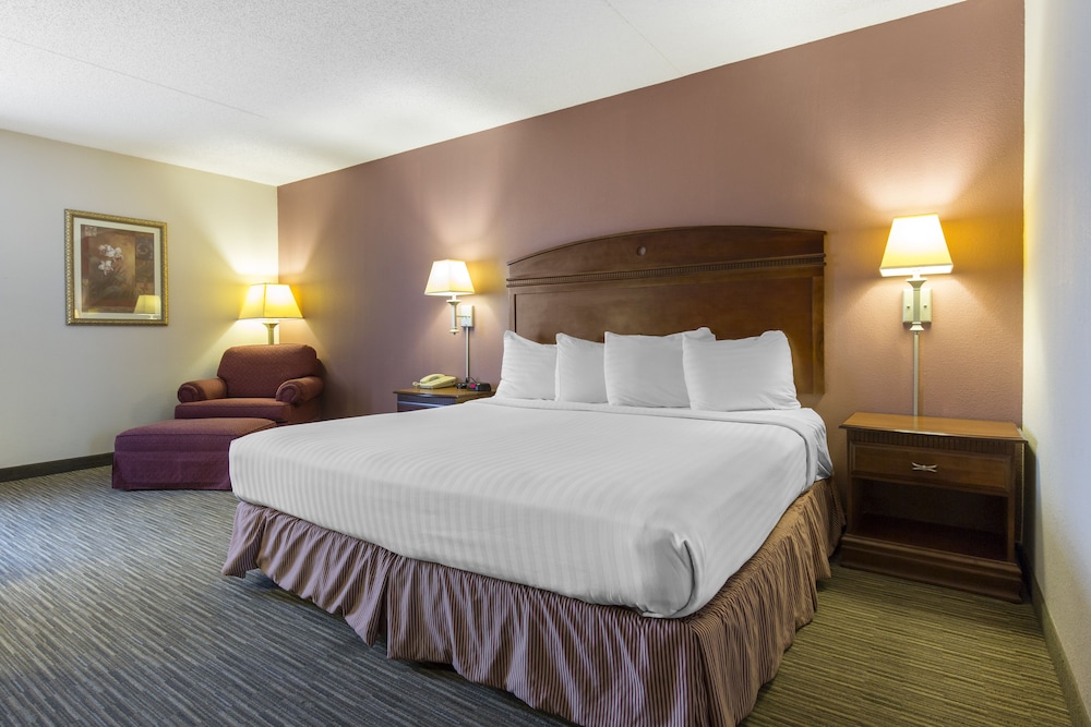 Greenstay Hotel & Suites - photo 17