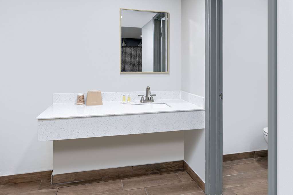Days Inn by Wyndham South Fort Worth - photo 21