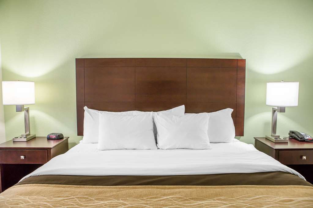Comfort Inn Lexington South - photo 6