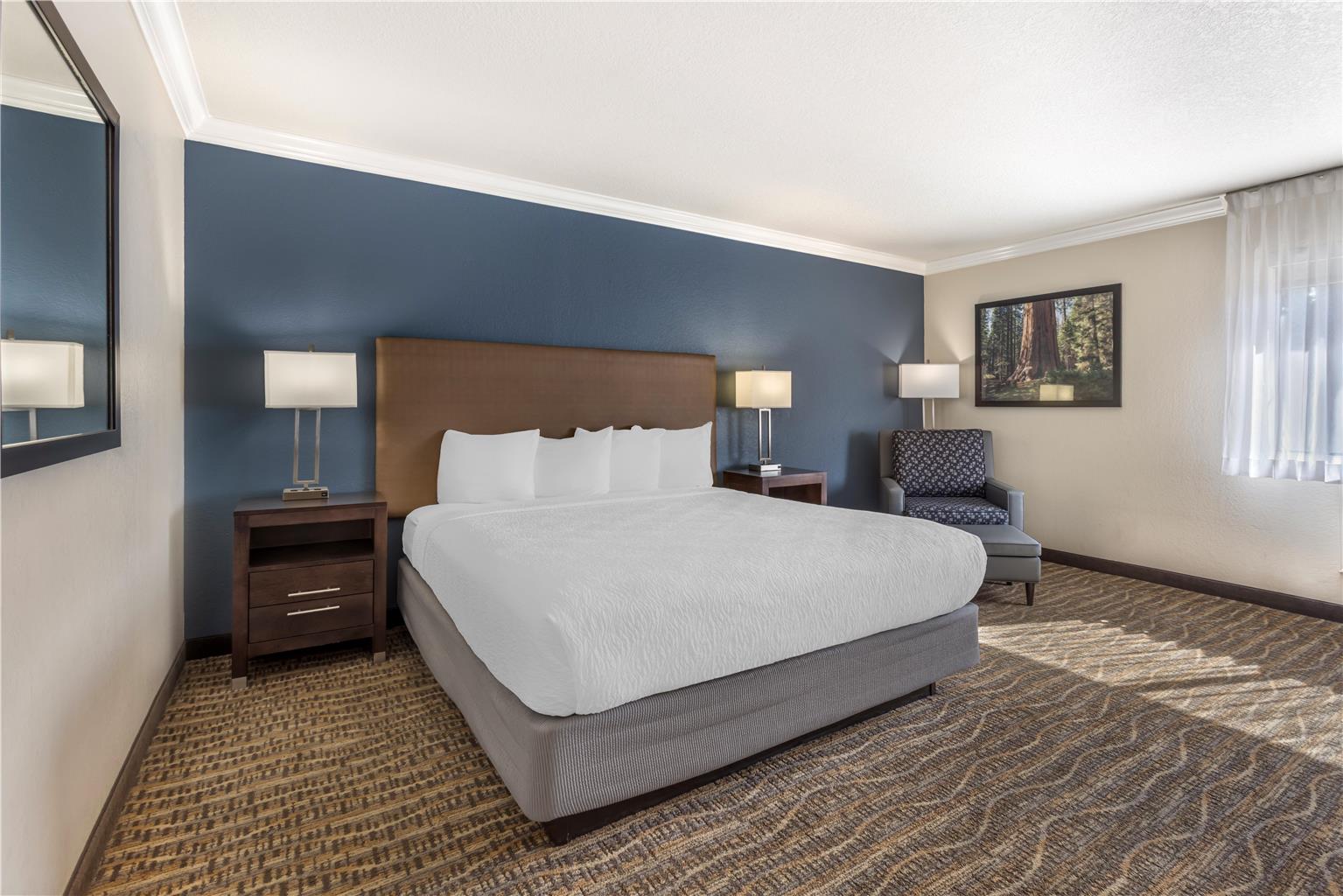 Best Western Town & Country Lodge - photo 14