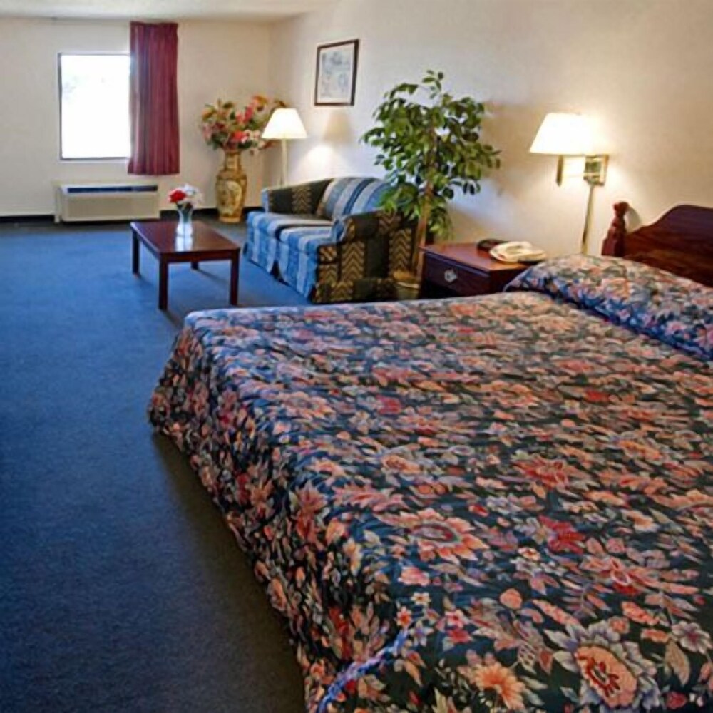 Shelaine Inn - photo 6