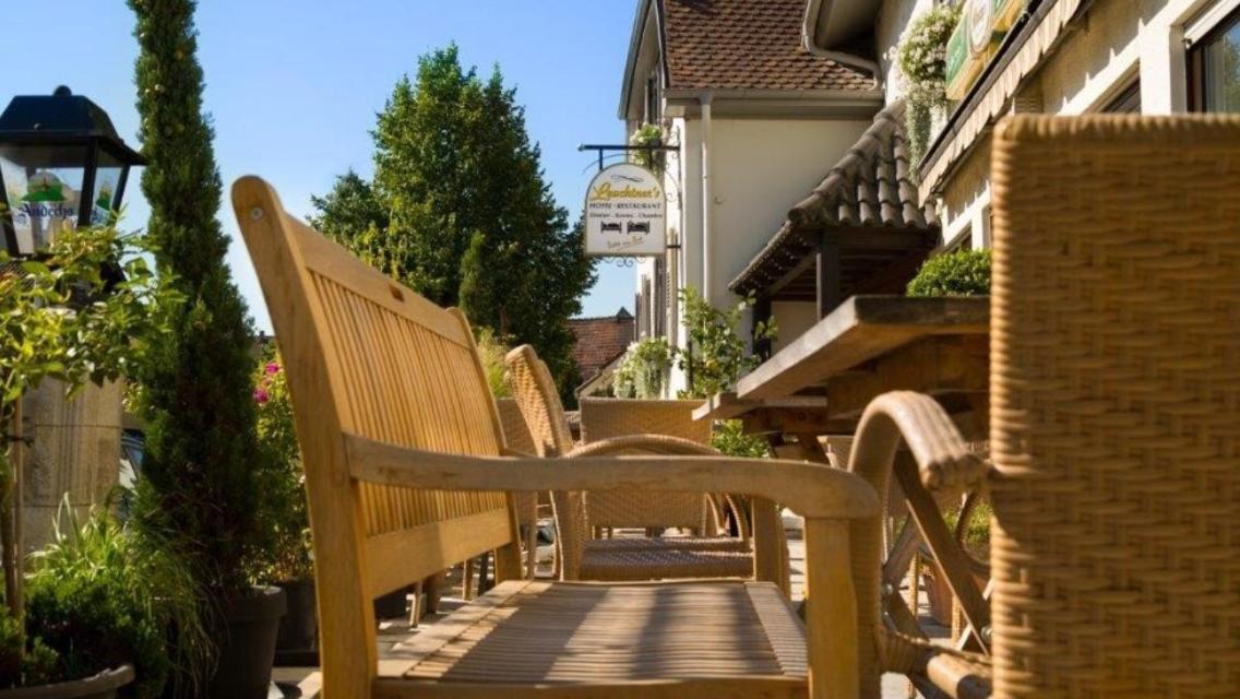 Leuchtners An Der Rennbahn pet-friendly hotel Iffezheim