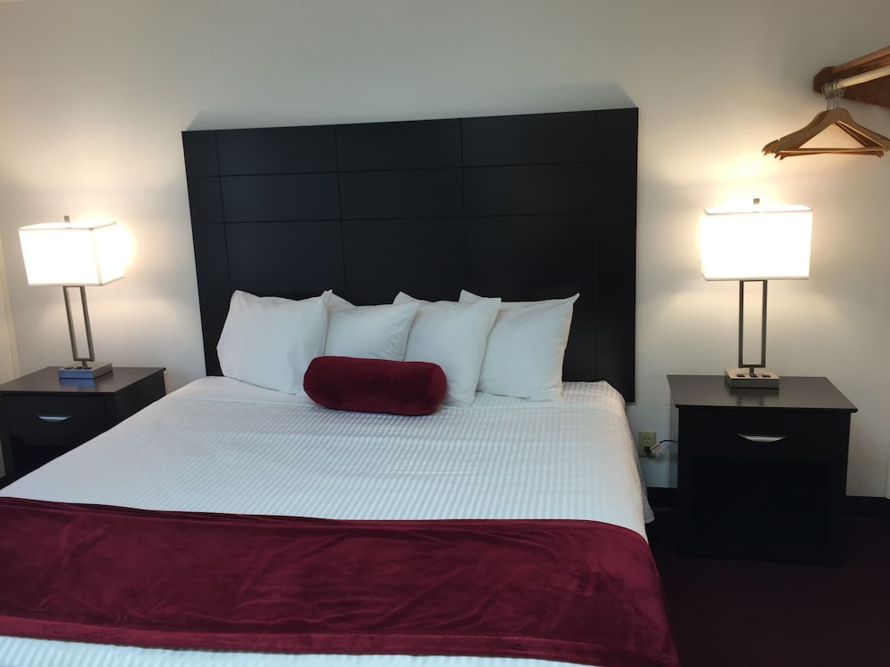 The Wellington Hotel & Suites Oceanblock - photo 11