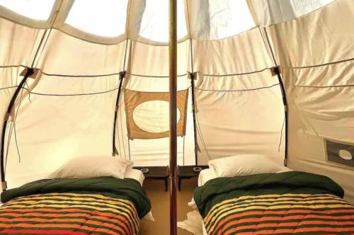 Paradise Ranch Inn Lucky Tent - photo 10