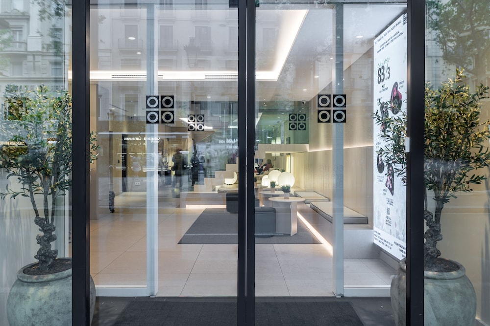 מראה חיצוני