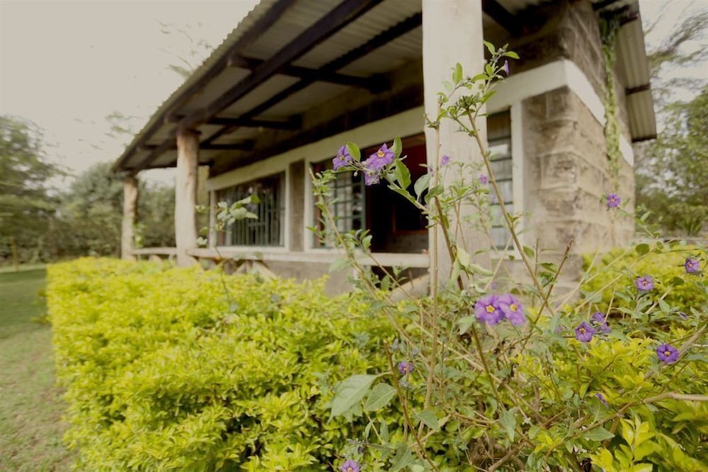 Pilgrims Getaway — Nakuru — photo 2