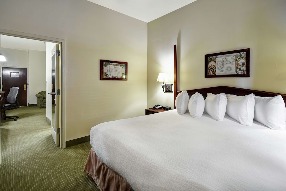 Embassy Suites by Hilton Charleston Historic District - photo 10