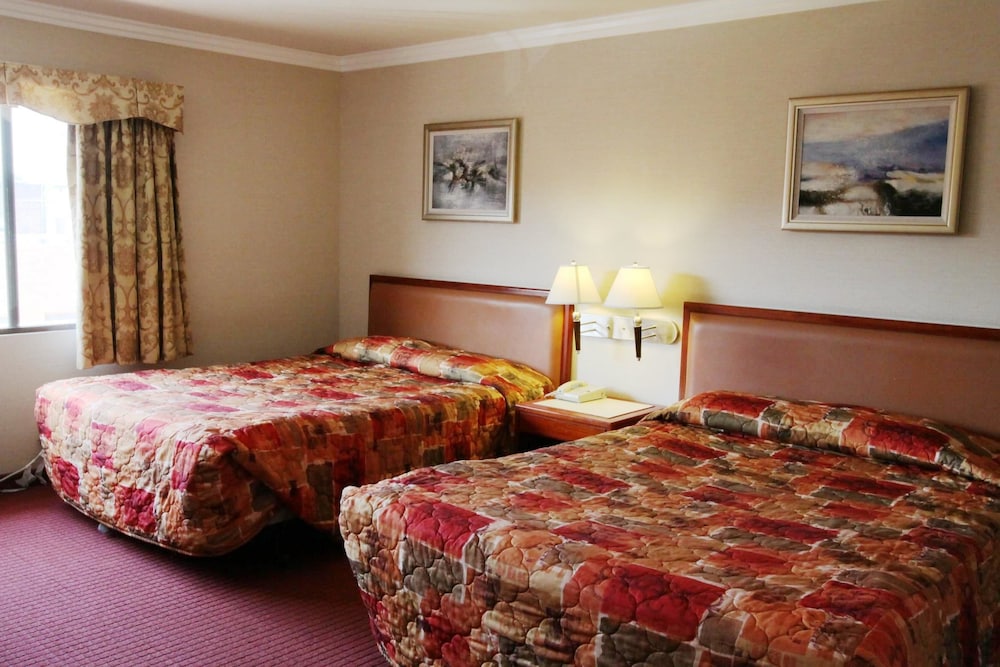 Metro Plaza Hotel - photo 14