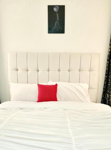 Luxurious Newly Fully Furnished Apartment