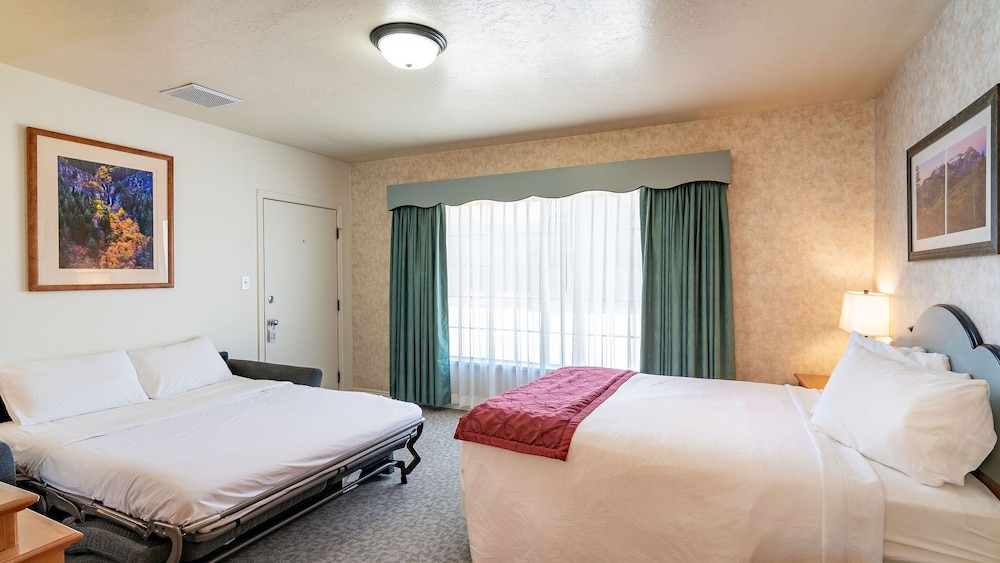 Swiss Alps Inn - photo 27