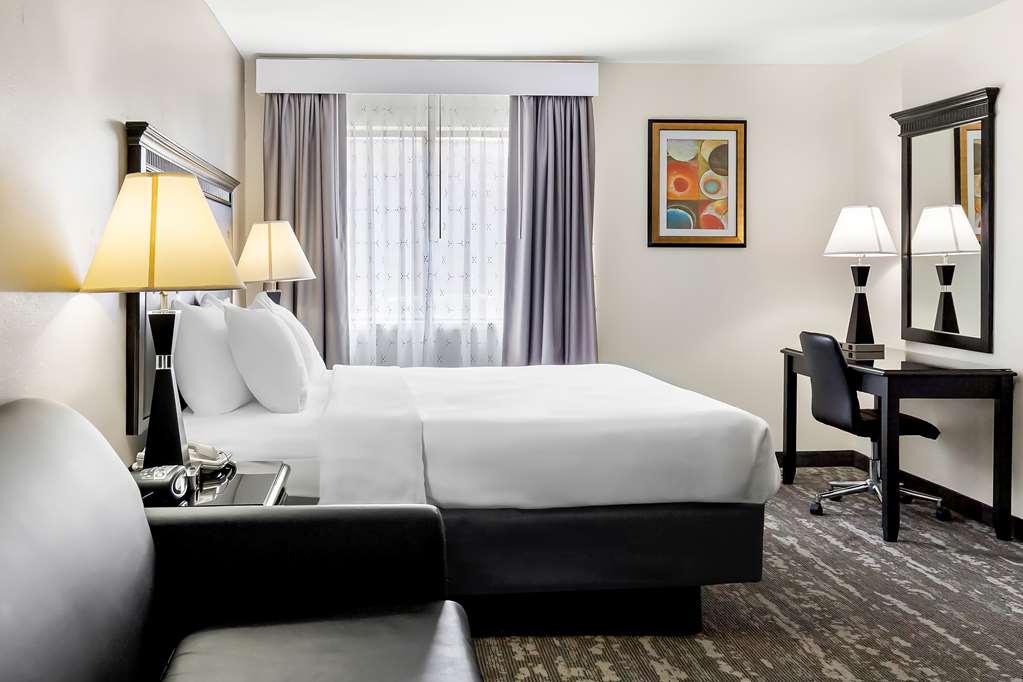 Best Western Saluki Inn - photo 21