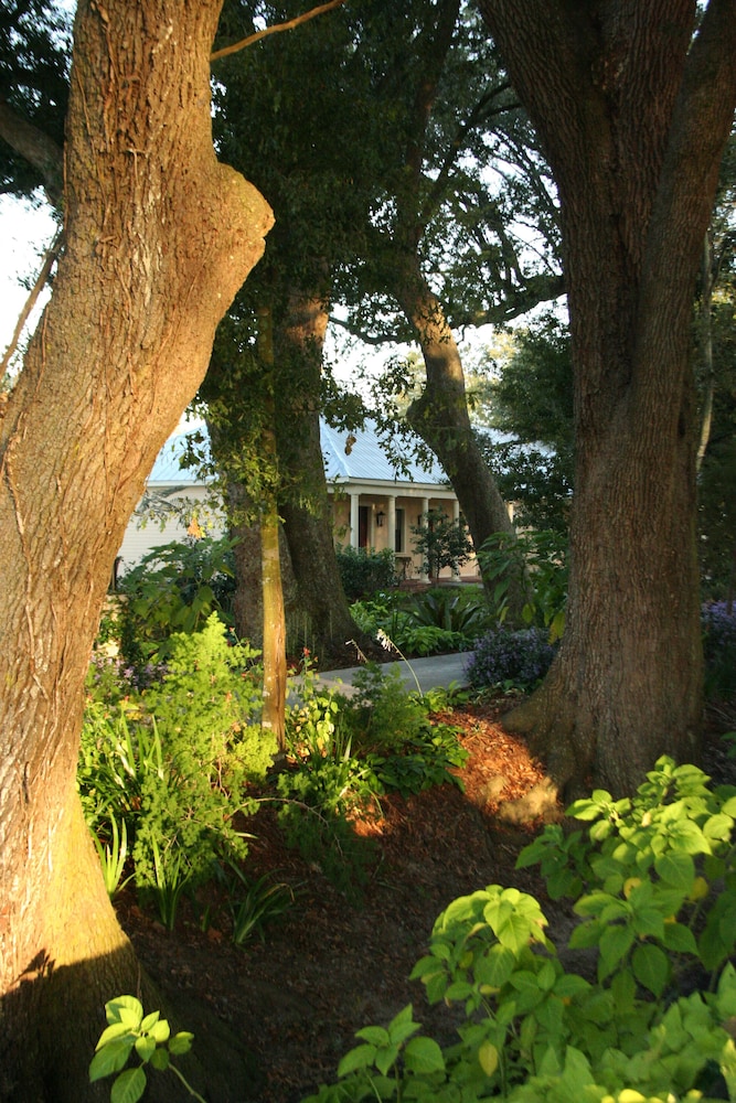 Houmas House Plantation and Gardens - photo 48