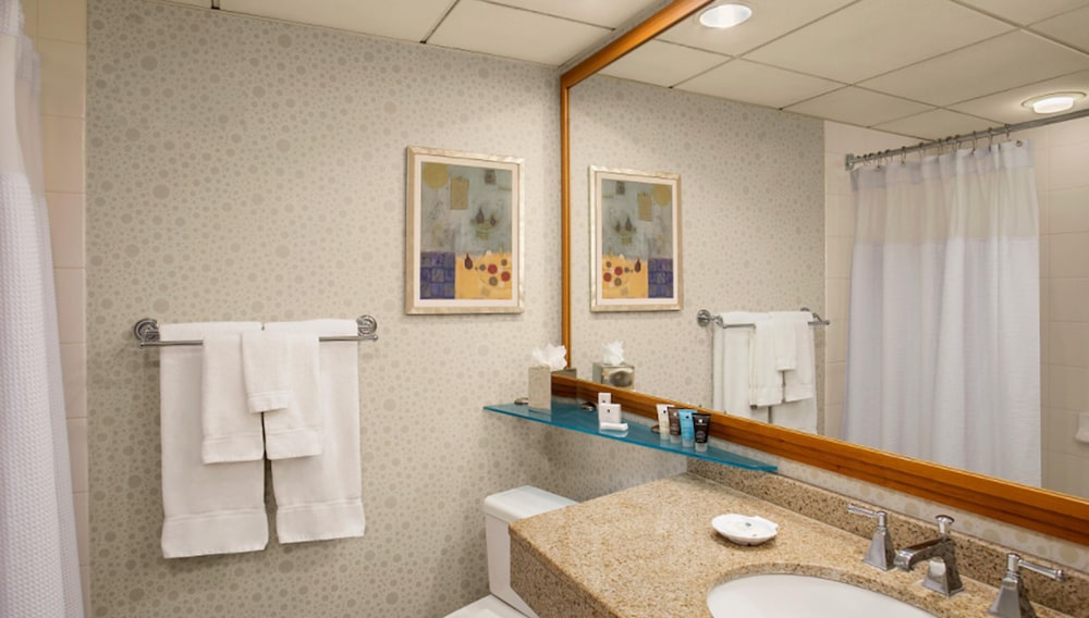 Crowne Plaza San Francisco Airport by IHG - photo 17