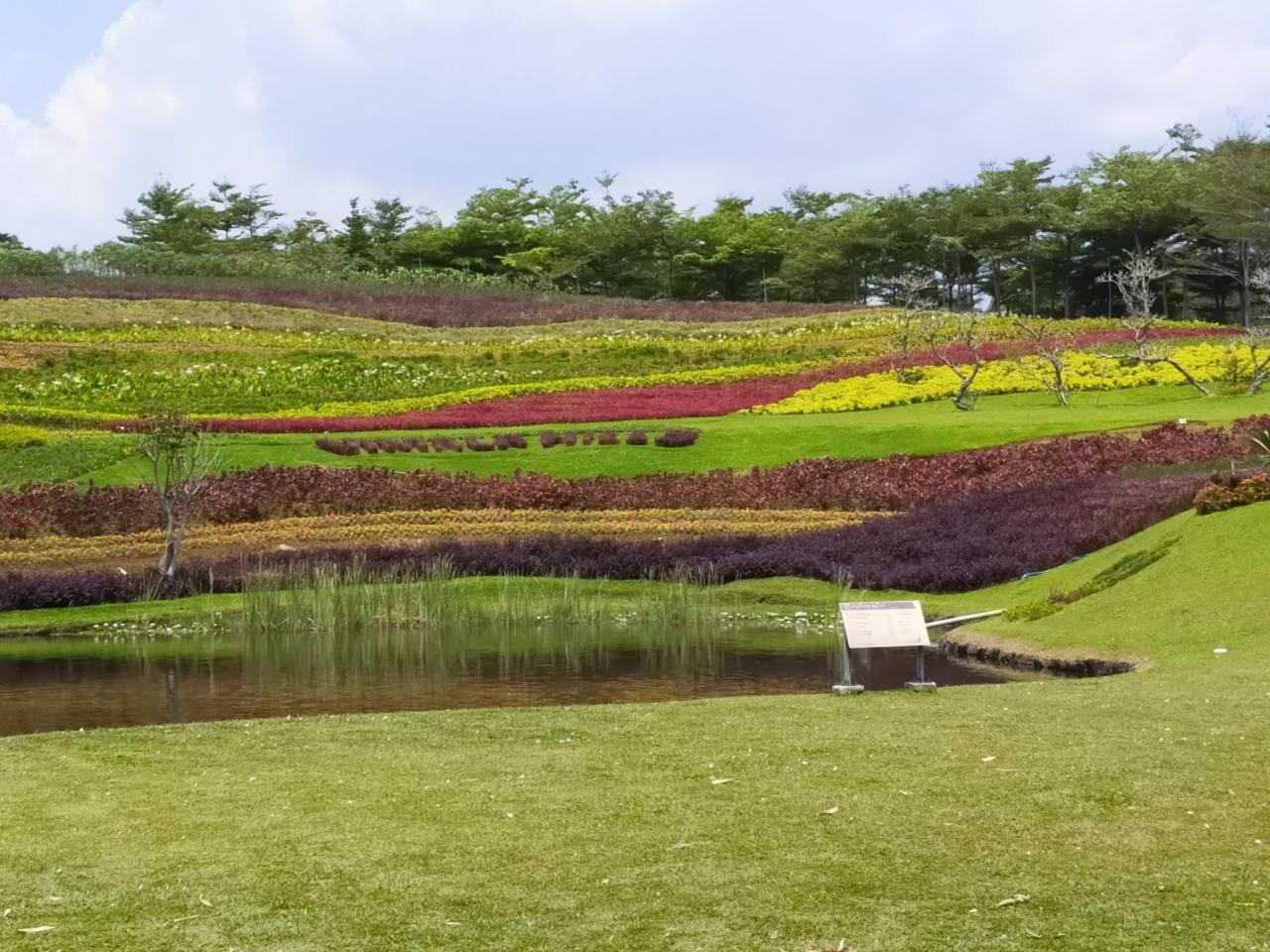 Vimala Hill Villa And Resort 3 Bedrooms in Bogor, Indonesia