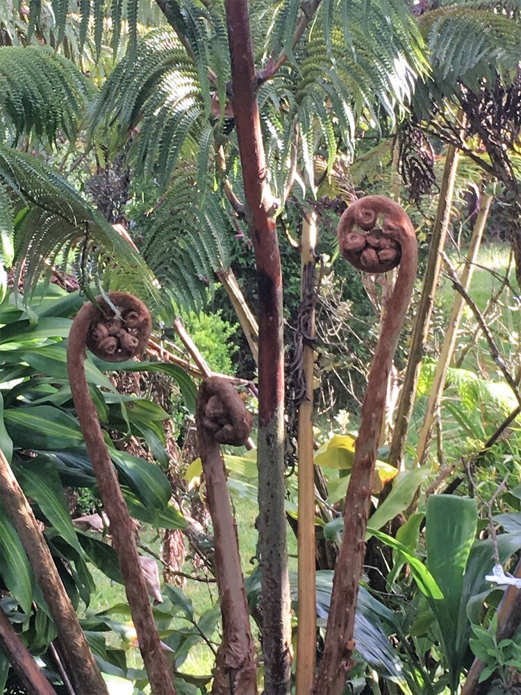 Aloha Happy Place - photo 24