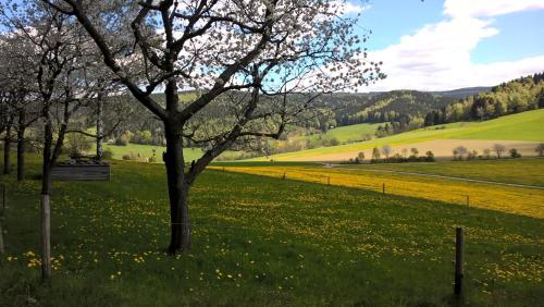 Ferienwohnungen Weißflog — Schwarzenberg — photo 2